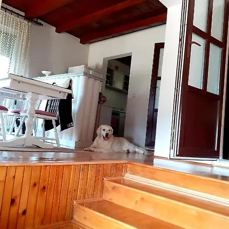 度假居 Seosko Turisticko Domacinstvo 