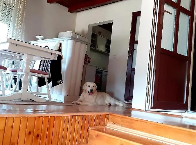 Tatil Evi Seosko Turisticko Domacinstvo 