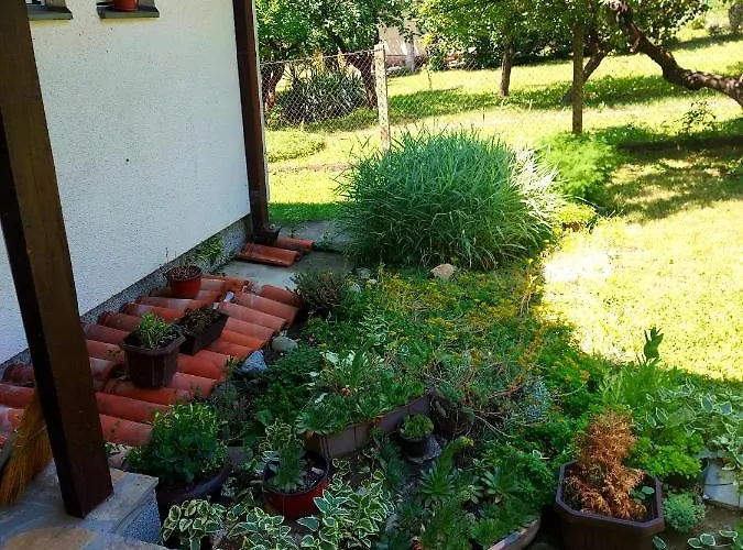 Tatil Evi Seosko Turisticko Domacinstvo 